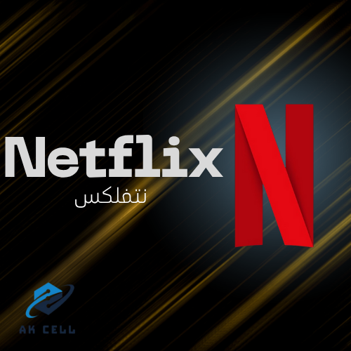 netflix 1 (USER) 1 month NORMAL QUALITY